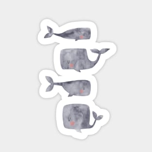 Gray Baby whales Sticker